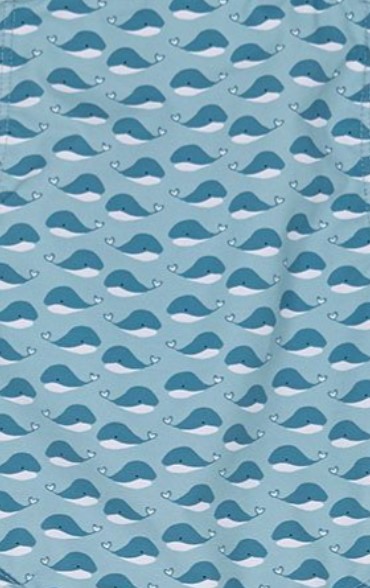 Little Whale